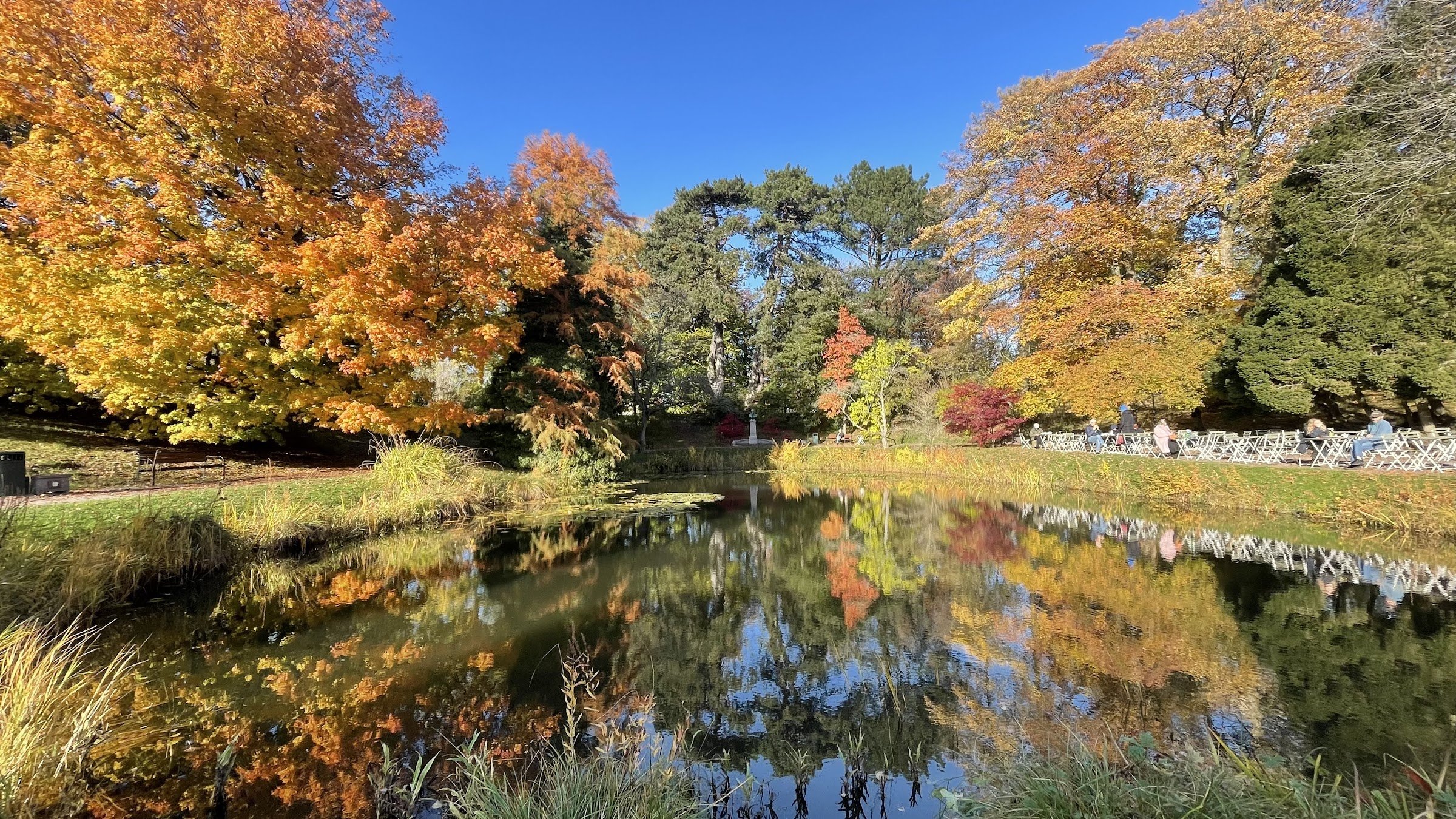 Botaniska trädgården (Lund University Botanical Garden) - Café